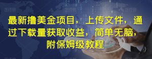 最新撸美金项目,上传文件,通过下载量获取收益,简单无脑,附保姆级教程【揭秘】-水滴知识网