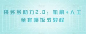 拼多多助力2.0：机刷+人工全套喂饭式教程【揭秘】-水滴知识网