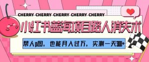 小红书蓝海项目路人消失术，帮人p图，也能月入过万，实测一天300+【揭秘】-水滴知识网