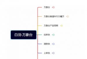 白羽·直引万搜索全篇，从0-1，多个类目实操经验总结付费-水滴知识网