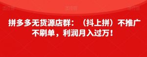 拼多多无货源店群:(抖上拼)不推广不刷单,利润月入过万!【揭秘】-水滴知识网