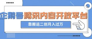 最新蓝海项目,企鹅号腾讯内容开放平台项目,靠搬运二创月入过万【揭秘】-水滴知识网