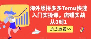 海外版拼多多Temu快速入门实操课,店铺实战从0到1-水滴知识网