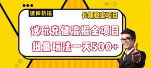 试玩充值流掘金项目,批量矩阵玩法一天500+【揭秘】-水滴知识网