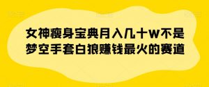 女神瘦身宝典月入几十W不是梦空手套白狼赚钱最火的赛道【揭秘】-水滴知识网