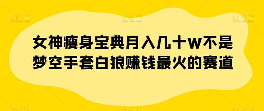 女神瘦身宝典月入几十W不是梦空手套白狼赚钱最火的赛道【揭秘】-水滴知识网