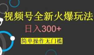 视频号最新爆火玩法,日入300+,简单操作无门槛【揭秘】-水滴知识网
