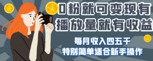 0粉就可变现，有播放量就有收益，每月收入四五千，特别简单适合新手操作【揭秘】-水滴知识网