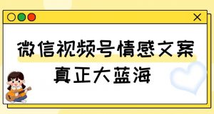 视频号情感文案,真正大蓝海,简单操作,新手小白轻松上手(教程+素材)【揭秘】-水滴知识网