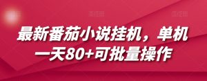 最新番茄小说挂机,单机一天80+可批量操作【揭秘】-水滴知识网