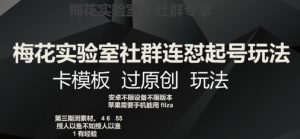 梅花实验室社群连怼起号玩法，卡模板过原创玩法【揭秘】-水滴知识网
