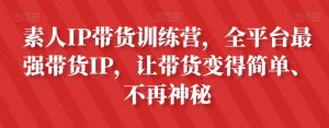 素人IP带货训练营,全平台最强带货IP,让带货变得简单、不再神秘-水滴知识网