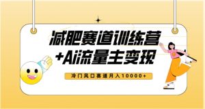 全新减肥赛道AI流量主+训练营变现玩法教程,蓝海冷门赛道小白轻松上手,月入10000+-水滴知识网