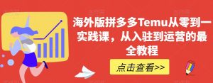 海外版拼多多Temu从零到一实践课，从入驻到运营的最全教程-水滴知识网
