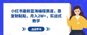 小红书最新蓝海编程赛道，靠复制粘贴，月入2W+，实战式教学【揭秘】-水滴知识网