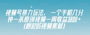视频号暴力玩法，一个手机几分钟一条原创视频一周收益3800+（附820G视频素材）-水滴知识网