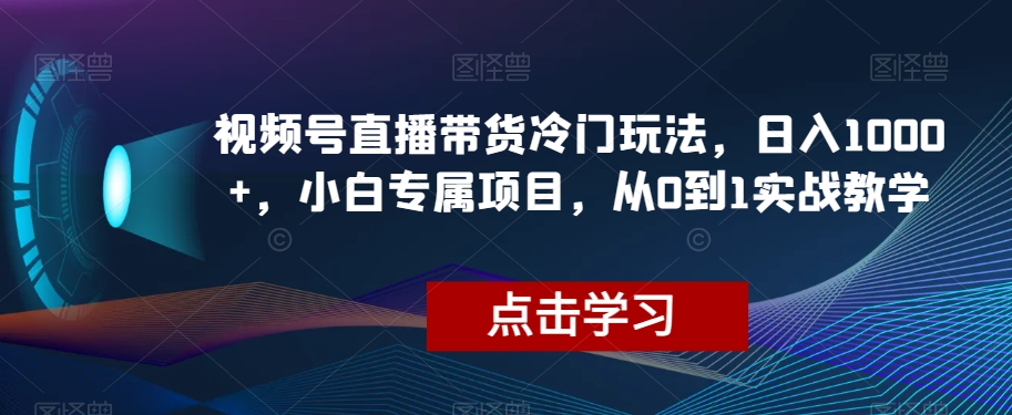 视频号直播带货冷门玩法，日入1000+，小白专属项目，从0到1实战教学【揭秘】-水滴知识网