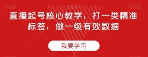 直播起号核心教学,打一类精准标签,做一级有效数据-水滴知识网