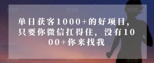单日获客1000+的好项目，只要你微信扛得住，没有1000+你来找我【揭秘】-水滴知识网