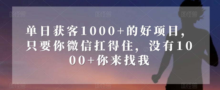 单日获客1000+的好项目，只要你微信扛得住，没有1000+你来找我【揭秘】-水滴知识网