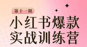 小红书博主爆款训练营第11期，手把手教你从0-1做小红书，从定位到起号到变现-水滴知识网