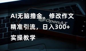 AI无脑撸金,修改作文精准引流,日入300+,实操教学【揭秘】-水滴知识网