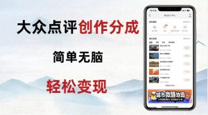 大众点评新玩法！零成本！新手也能每日轻松入袋300+！【揭秘】-水滴知识网