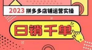 2023拼多多运营实操，每天30分钟日销1000＋，爆款选品技巧大全（10节课）-水滴知识网