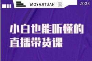 大威本威·能听懂的直播带货课，小白也能听懂，20节完整-水滴知识网