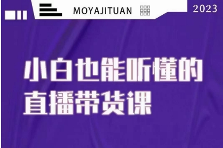 大威本威·能听懂的直播带货课，小白也能听懂，20节完整-水滴知识网