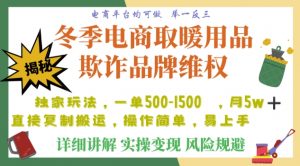 利用电商平台冬季销售取暖用品欺诈行为合理制裁店铺，单日入900+【仅揭秘】-水滴知识网