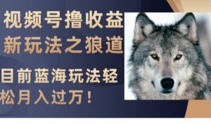 视频号撸收益新玩法之狼道,目前蓝海玩法,轻松月入过万【揭秘】-水滴知识网