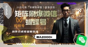 矩阵刷爆微信蝴蝶号创作者分成计划收益的新玩法,日入2000+【揭秘】-水滴知识网