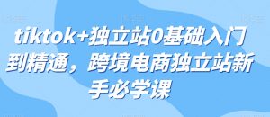 tiktok+独立站0基础入门到精通,跨境电商独立站新手必学课-水滴知识网