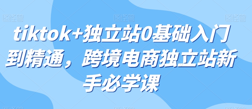 tiktok+独立站0基础入门到精通,跨境电商独立站新手必学课-水滴知识网