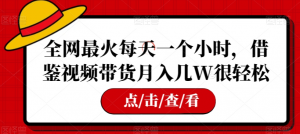 全网最火每天一个小时，借鉴视频带货月入几W很轻松【揭秘】-水滴知识网