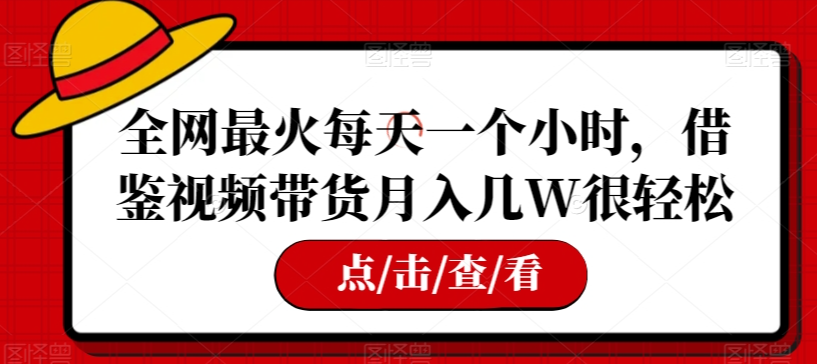 全网最火每天一个小时,借鉴视频带货月入几W很轻松【揭秘】-水滴知识网