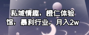 私域情趣,橙仁体验馆,暴利行业,月入2w【揭秘】-水滴知识网