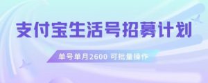 支付宝生活号作者招募计划,单号单月2600,可批量去做,工作室一人一个月轻松1w+【揭秘】-水滴知识网