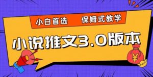 小说推文3.0玩法，日入两千+，保姆式教学，小白首选【揭秘】-水滴知识网