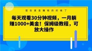 每天观看30分钟视频，一月躺赚1000+美金！保姆级教程，可放大操作【揭秘】-水滴知识网