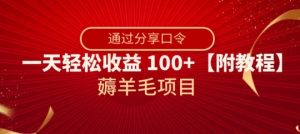 薅羊毛项目，靠分享口令，一天轻松收益100+【附教程】【揭秘】-水滴知识网