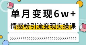 单月变现6W+，抖音情感粉引流变现实操课，小白可做，轻松上手，独家赛道【揭秘】-水滴知识网