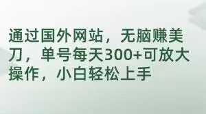 通过国外网站,无脑赚美刀,单号每天300+可放大操作,小白轻松上手【揭秘】-水滴知识网