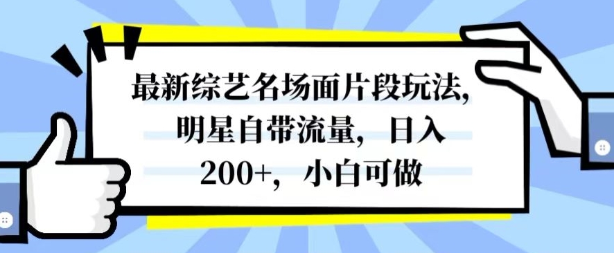 最新综艺名场面片段玩法，明星自带流量，日入200+，小白可做【揭秘】-水滴知识网
