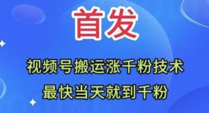 全网首发：视频号无脑搬运涨千粉技术，最快当天到千粉【揭秘】-水滴知识网