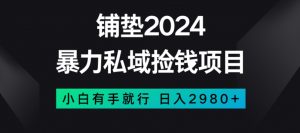 暴力私域捡钱项目，小白无脑操作，日入2980【揭秘】-水滴知识网