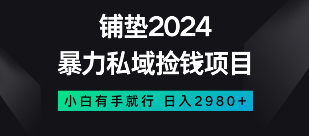 暴力私域捡钱项目，小白无脑操作，日入2980【揭秘】-水滴知识网