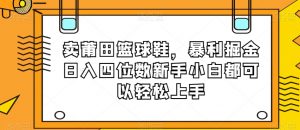 卖莆田篮球鞋，暴利掘金日入四位数新手小白都可以轻松上手【揭秘】-水滴知识网