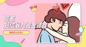 全网首发，揭秘超冷门匿名短信项目，通过信息差日入几百+【揭秘】-水滴知识网